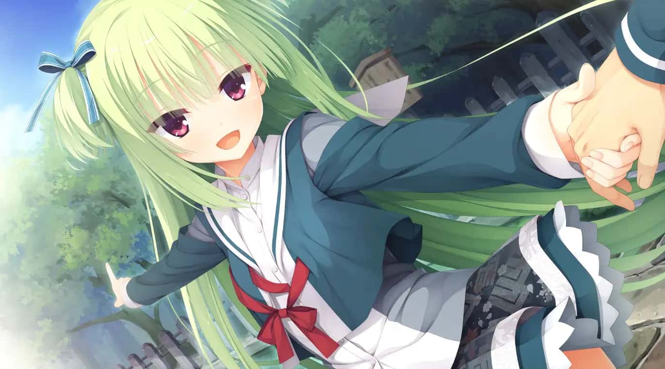 视觉数据5
